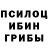 Галлюциногенные грибы Psilocybe jensweet66
