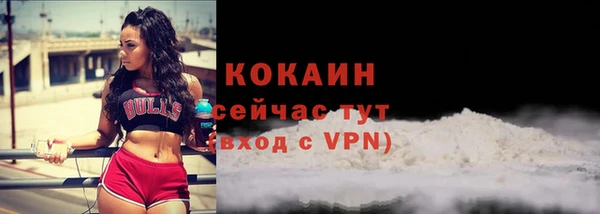 стафф Богородск