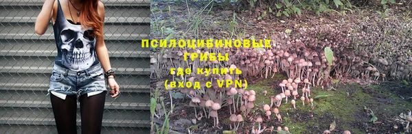 стафф Богородск