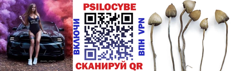 Галлюциногенные грибы мицелий  Духовщина 